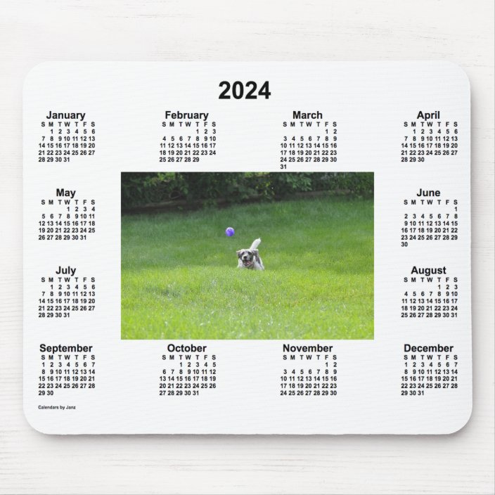 2024 Ball Playing Dog Photo Calendar by Janz Mouse Mat Zazzle.co.uk