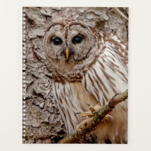 2024 Barred Owl Planner