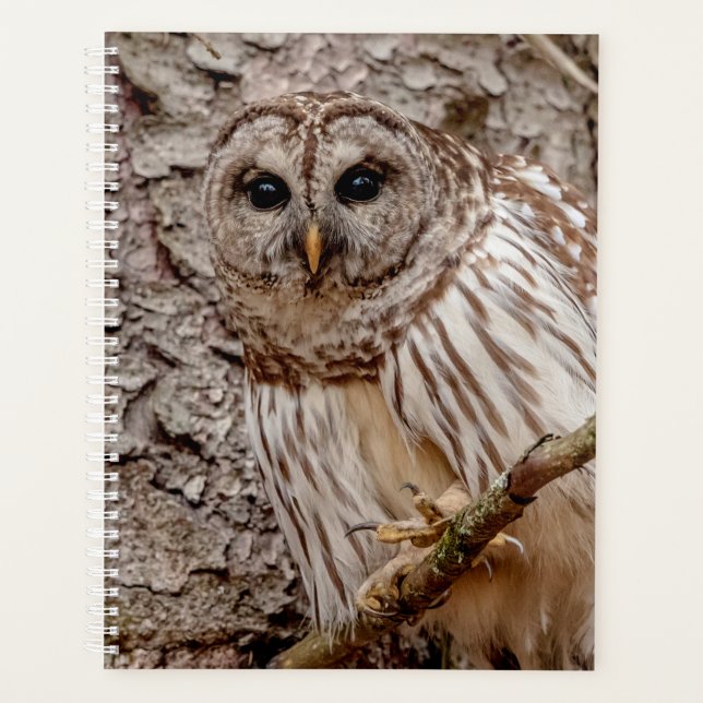 2024 Barred Owl Planner (Front)