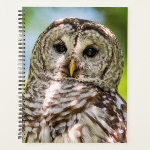 2024 Barred Owl Planner
