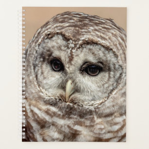 2024 Barred Owl Planner
