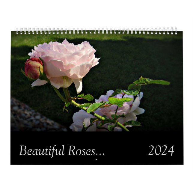2024 Beautiful Roses Two Page Large Wall Calendar (Cover)