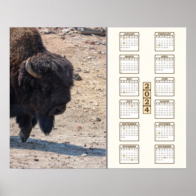 2024 - "Buffalo" Poster (Front)