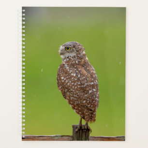 2024 Burrowing Owl Planner