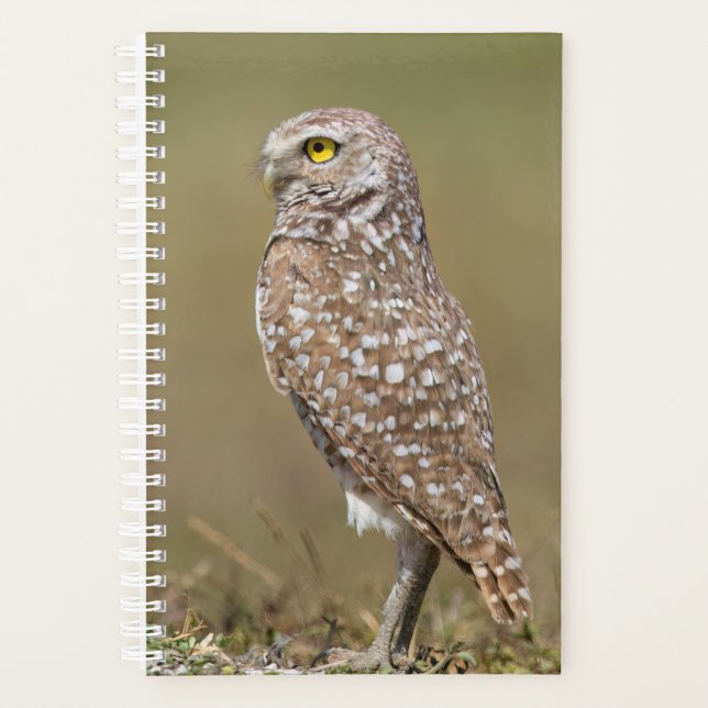 2024 Burrowing Owl Planner (Front)