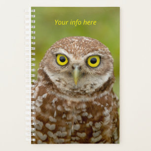 2024 Burrowing Owl Planner