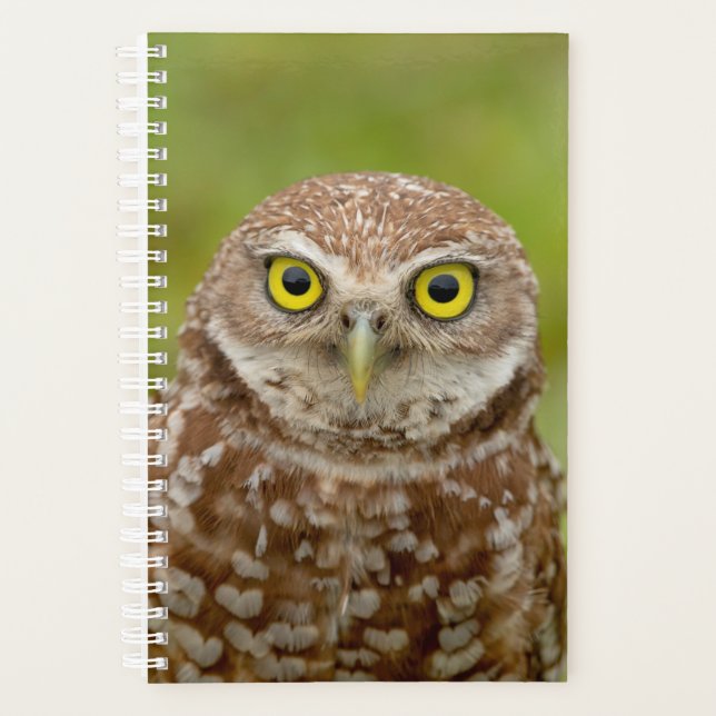 2024 Burrowing Owl Planner (Front)