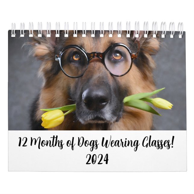 2024 Calendar 12 Months of Dogs Wearing Glasses (Cover)