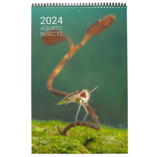 2024 Calendar - Aquatic insects
