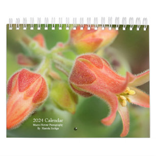 2024 Calendar Flowers in Macro Photography