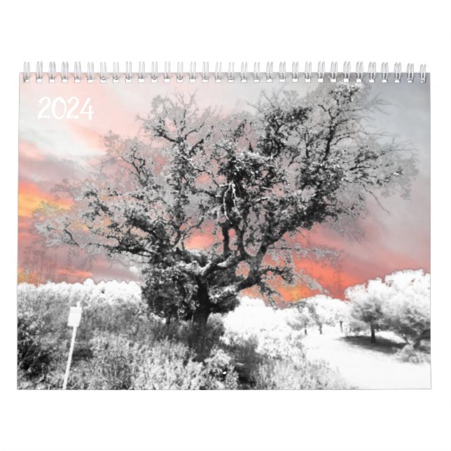 2024 Calendar Planner art and design  (Cover)