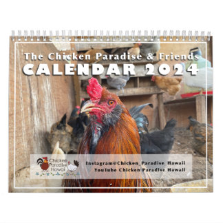 2024 Chicken Paradise Hawaii Calendar