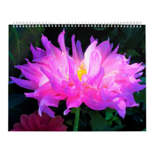 2024 Dahlia Flowers Calendar