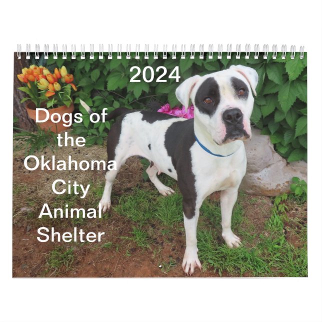 2024 Dogs of the Oklahoma City Animal Shelter Calendar (Cover)