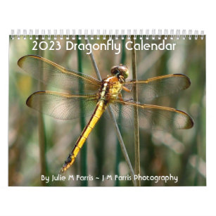 2024 Dragonfly Calendar