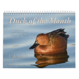2024 Duck Wall Calendar (or any Start Date)