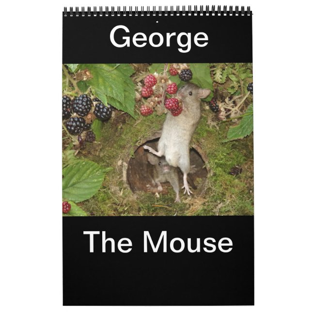 2024 george the mouse  calendar (Cover)