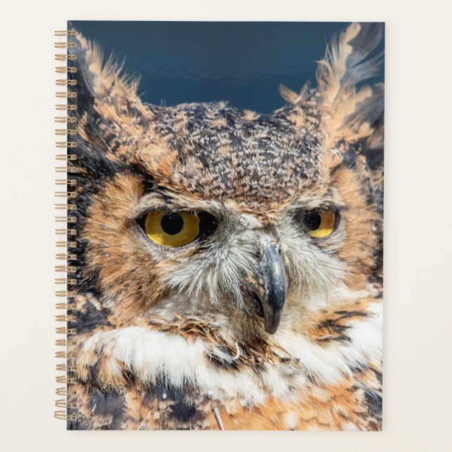 2024 Great Horned Owl Planner (Front)