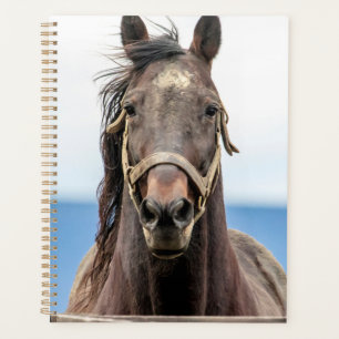2024 Horse Planner