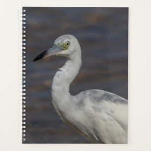 2024 Immature Heron Planner