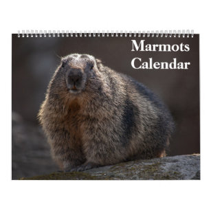 2024 Marmots Calendar