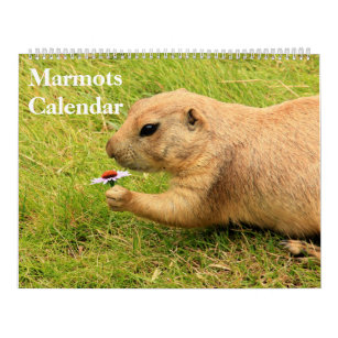 2024 Marmots Calendar