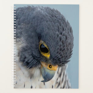 2024 Peregrine Falcon Planner
