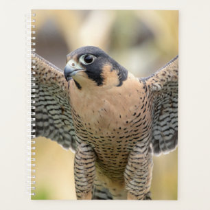 2024 Peregrine Falcon Planner