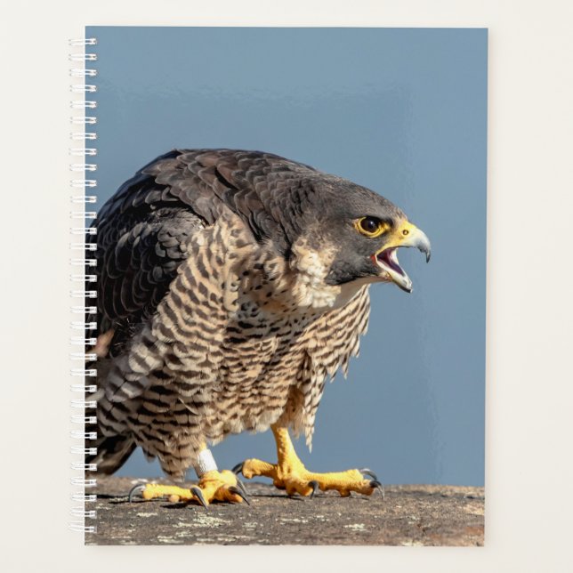 2024 Peregrine Falcon Planner (Front)
