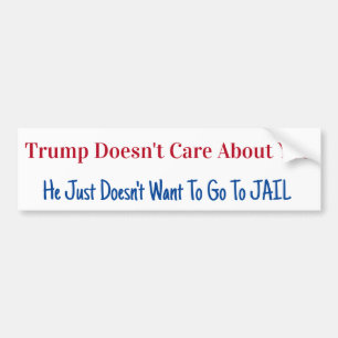 2024 Presidential Election Bumper Sticker