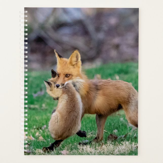 2024 Red Fox and Kit Planner (Front)