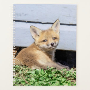 2024 Red Fox Kit Planner