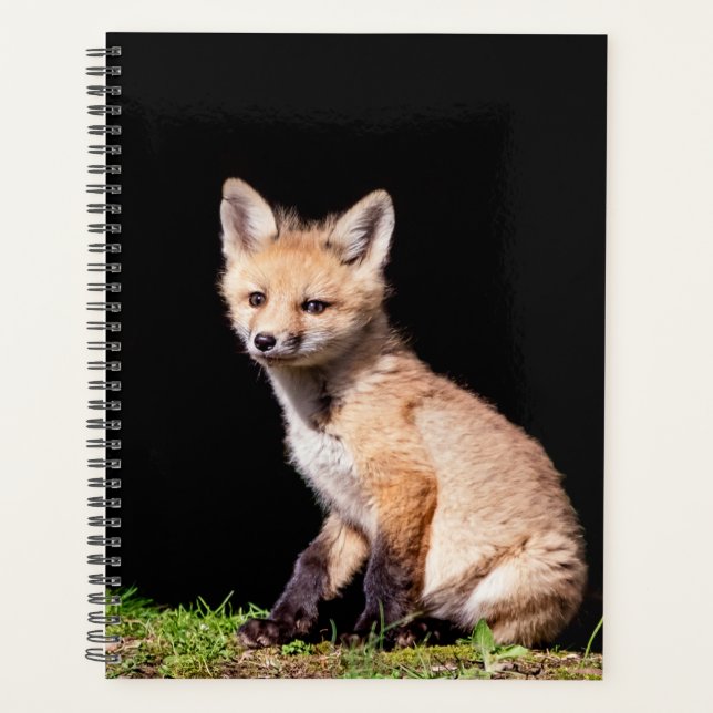 2024 Red Fox Kit Planner (Front)