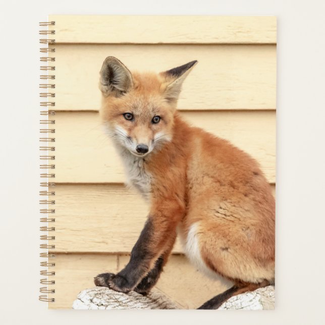 2024 Red Fox Kit Planner (Front)