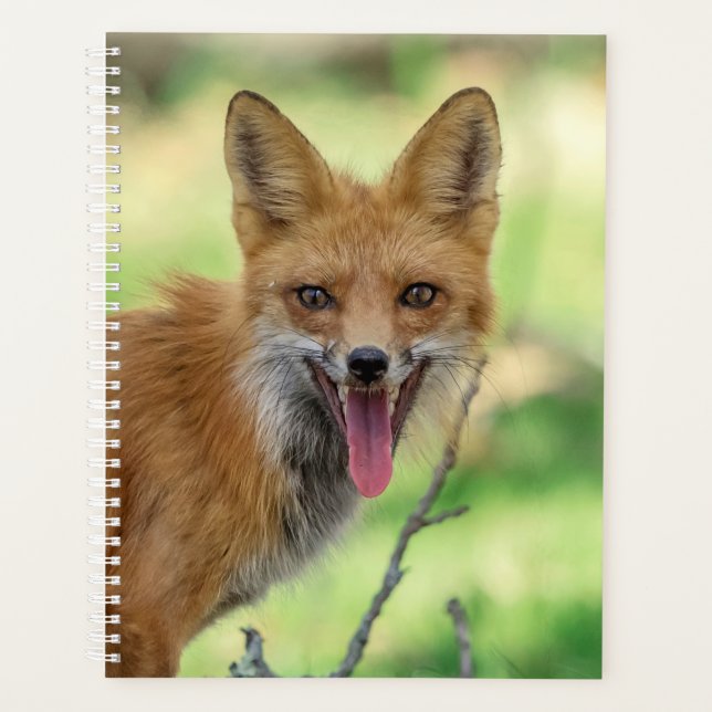 2024 Red Fox Planner (Front)
