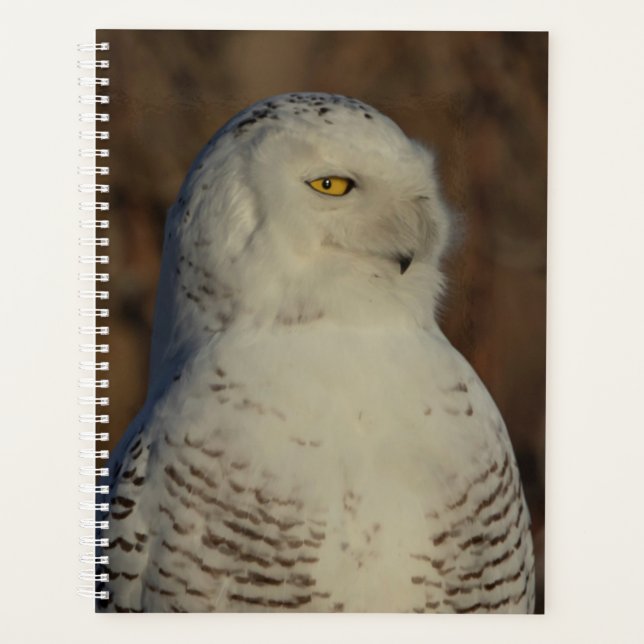 2024 Snowy Owl Planner (Front)