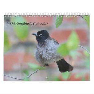 2024 Songbirds Calendar