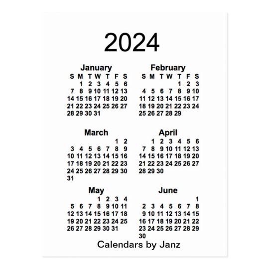 2024 White 6 Month Mini Calendar by Janz Postcard Zazzle.co.uk