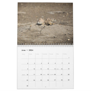 2024 Wildlife Calendar