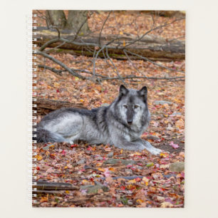 2024 Wolf Planner