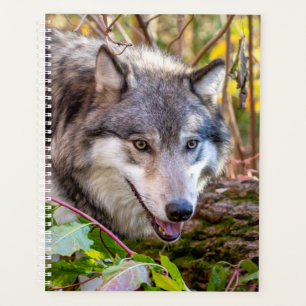 2024 Wolf Planner