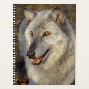 2024 Wolf Planner