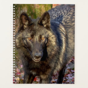 2024 Wolf Planner