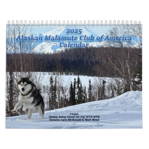 2025 Alaskan Malamute Club of America Calendar