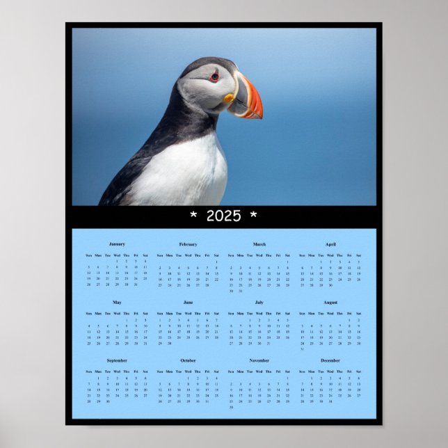 2025 Atlantic Puffin in Maine Wall Calendar Poster (Front)