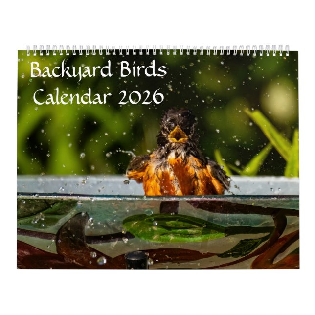2025 Backyard Birds Calendar (Cover)
