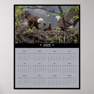 2025 Bald Eagle Wall Calendar Poster