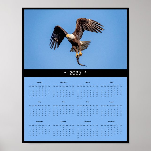 2025 Bald Eagle Wall Calendar Poster (Front)
