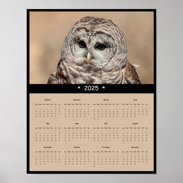 2025 Barred Owl Wall Calendar Poster (Front)