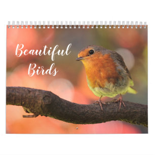 2025 Beautiful Birds Calendar